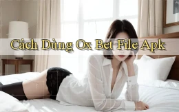 cách dùng ox bet file apk