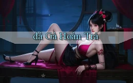 đá gà Hoàn trả