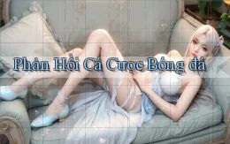 Phản hồi Cá cược bóng đá