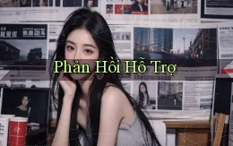 Phản hồi Hỗ trợ
